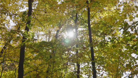 Similar image 21431327