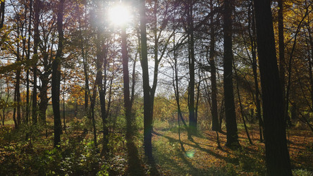 Similar image 21431328