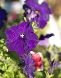 Similar image 21418223