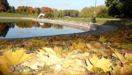 Similar image 21414849