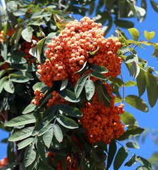 Similar image 21414866