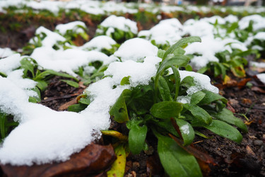 Similar image 21390235