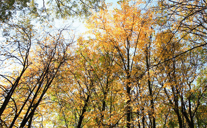 Similar image 21420650