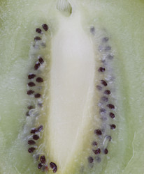 Similar image 21420651