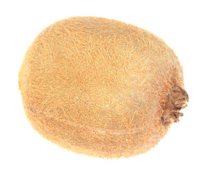 Similar image 21420654