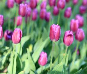 Similar image 21420656