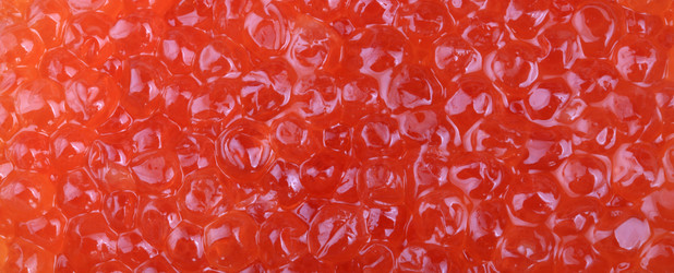 Similar image 21420665