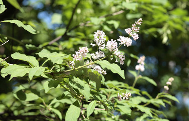 Similar image 21420670