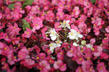 Similar image 21420686