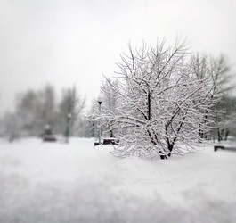 Similar image 21425104