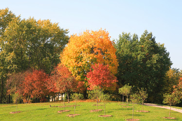 Similar image 21414639