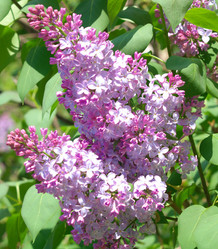 Similar image 21414640