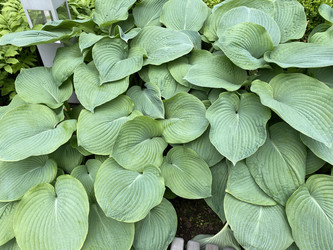 Similar image 21414646