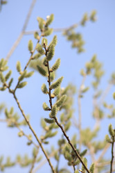 Similar image 21414647