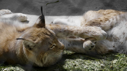 Similar image 21424233