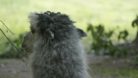 Similar image 21424255