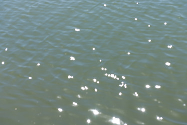 Similar image 21415321