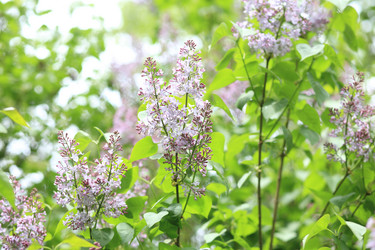 Similar image 21418230