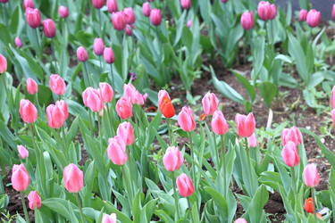 Similar image 21420844