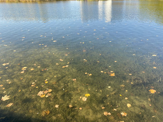 Similar image 21420846