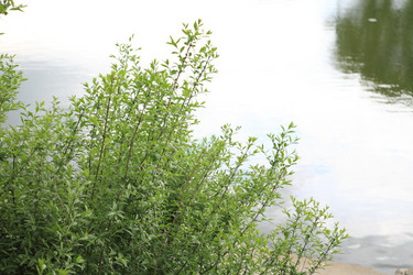 Similar image 21425022