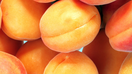 Similar image 21432673