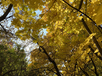 Similar image 21414658