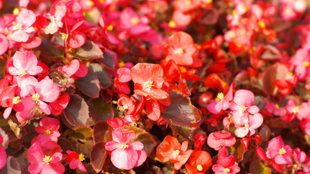 Similar image 21414661