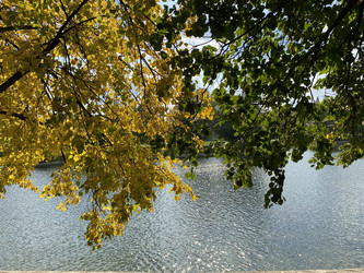 Similar image 21414662