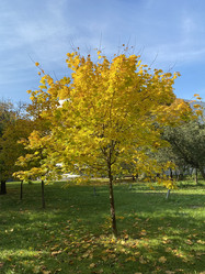 Similar image 21414663