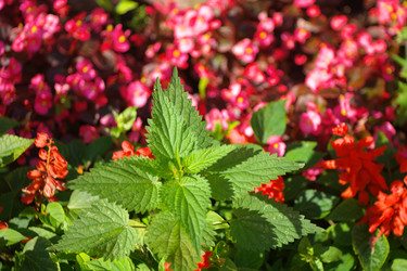 Similar image 21414672