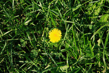 Similar image 21414674