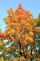 Similar image 21414686