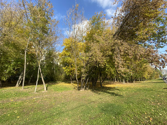 Similar image 21414687