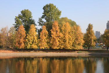 Similar image 21414985