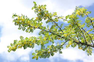 Similar image 21414987