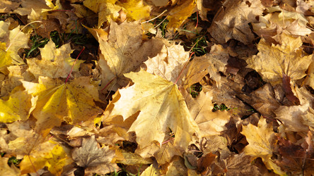 Similar image 21414989