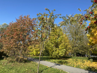 Similar image 21415324