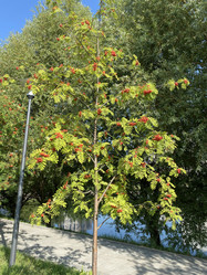 Similar image 21415326