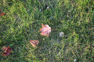 Similar image 21415328