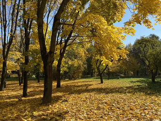 Similar image 21415334