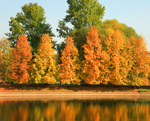 Similar image 21415335