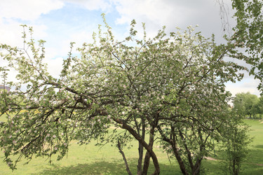 Similar image 21415337