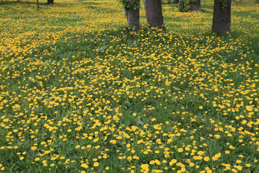 Similar image 21415338