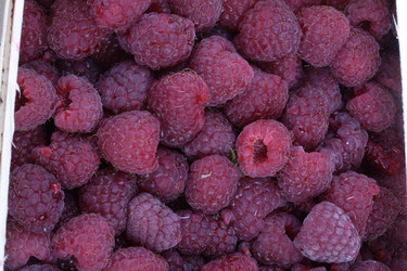 Similar image 21415339