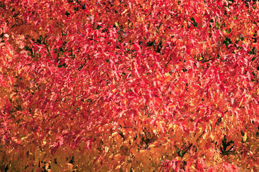 Similar image 21415343