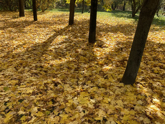 Similar image 21415344