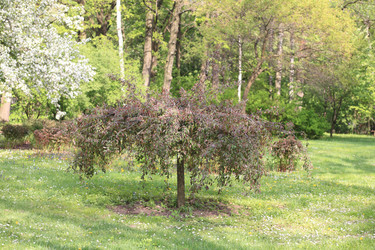 Similar image 21416063