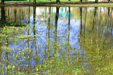 Similar image 21418232