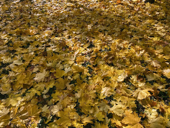 Similar image 21418233